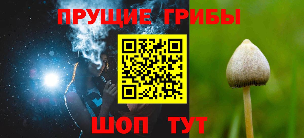 Псилоцибиновые грибы Psilocybine cubensis  купить наркоту  Юрга  Псилоцибиновые грибы Magic Shrooms  Вход с VPN 