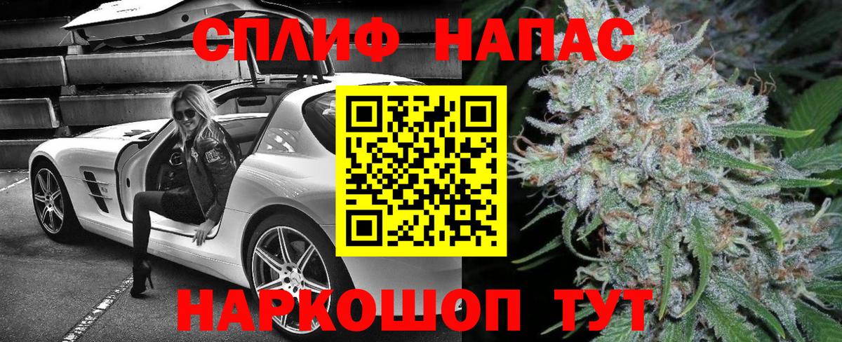 Конопля гибрид Юрга